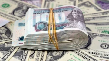 سعره يتجاوز التوقعات.. قفزة جديدة في صرف الدولار أمام الجنيه بالبنوك المصرية